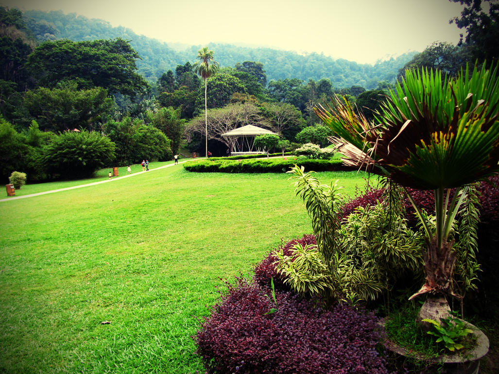 Natural zones. Penang Botanic Gardens Пинанг.