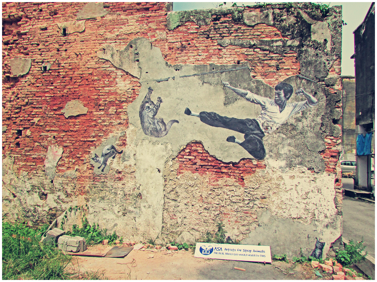 Penang Street Art (The Cat and the 'Bruce Lee') - Travel 2 Penang